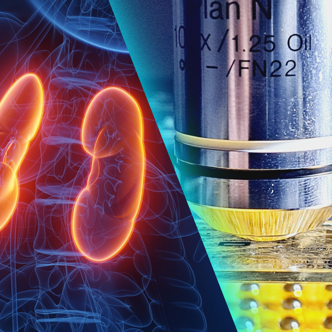 #BuenasNoticias ➡️ #USS crea dos nuevos #doctorados que contribuyen a la formación avanzada de excelencia: un programa en #ingeniería que busca dar respuestas a los desafíos emergentes 🤓 y un programa pionero que aborda #enfermedades crónicas👩🏻‍⚕️. Más 👉 bit.ly/3WtujzS