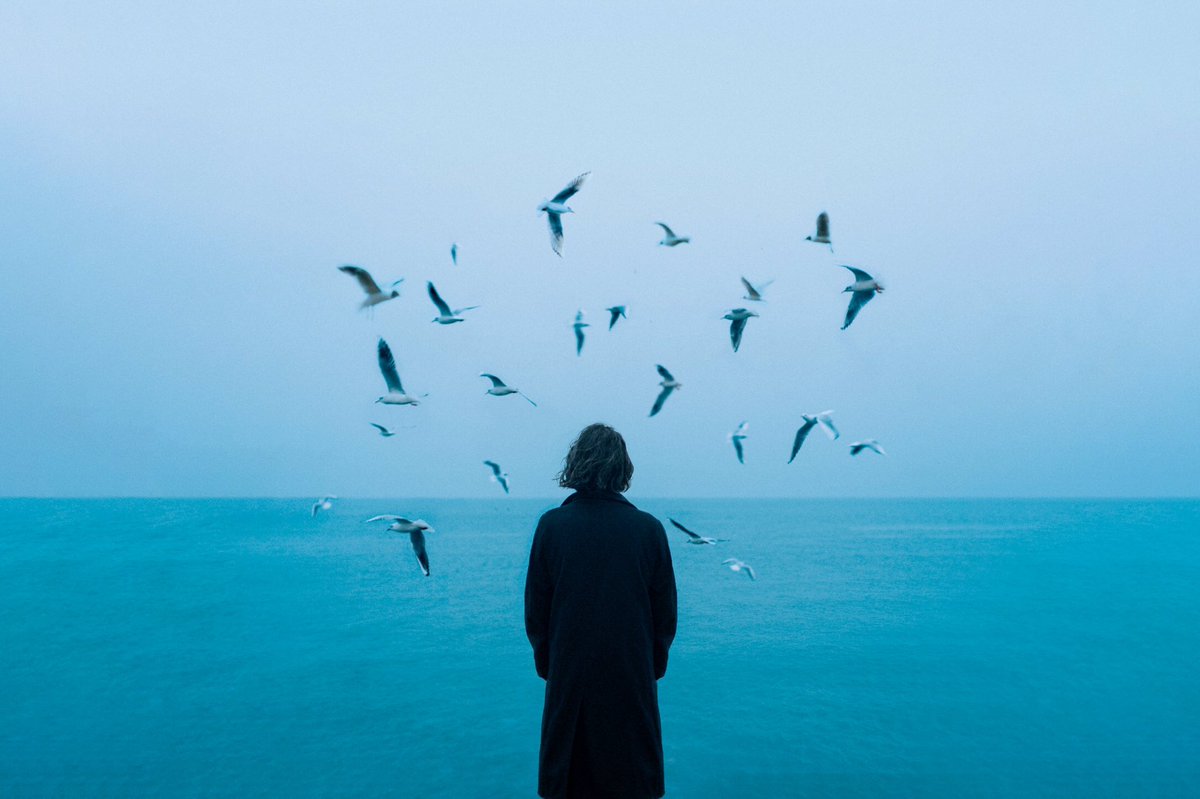 adso_cc's tweet image. Some of my most precious photographs