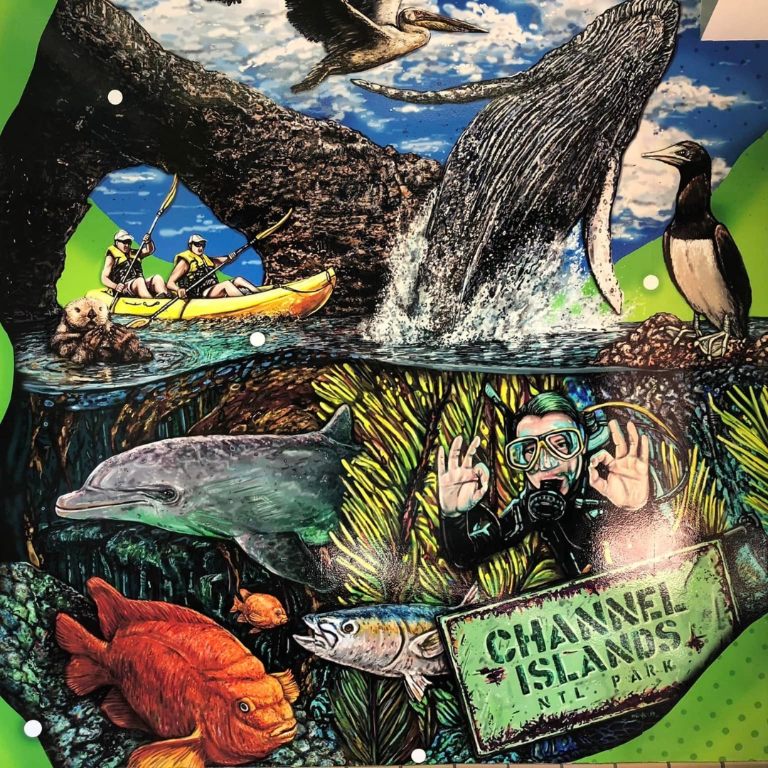 GoldCoastBus's tweet photo. Recently #VisitOxnardCA along with mural artist #maxfieldbala created a mural installation at the Oxnard Transit Center. It's even prettier in person, so be sure to check it out! https://t.co/4RUAkl0KFn