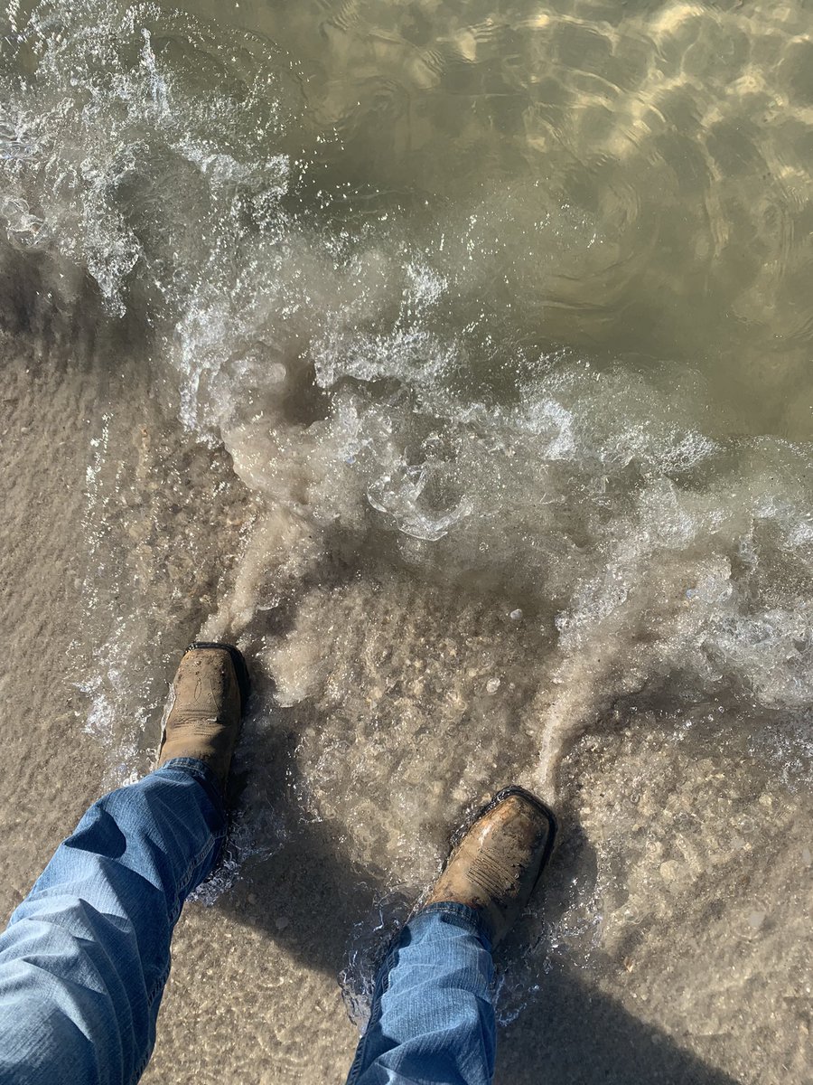 warmonroe's tweet photo. @Ariat at the beach https://t.co/oLTLq56BPz