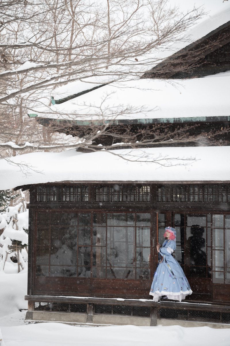 りんご🍎 tweet media