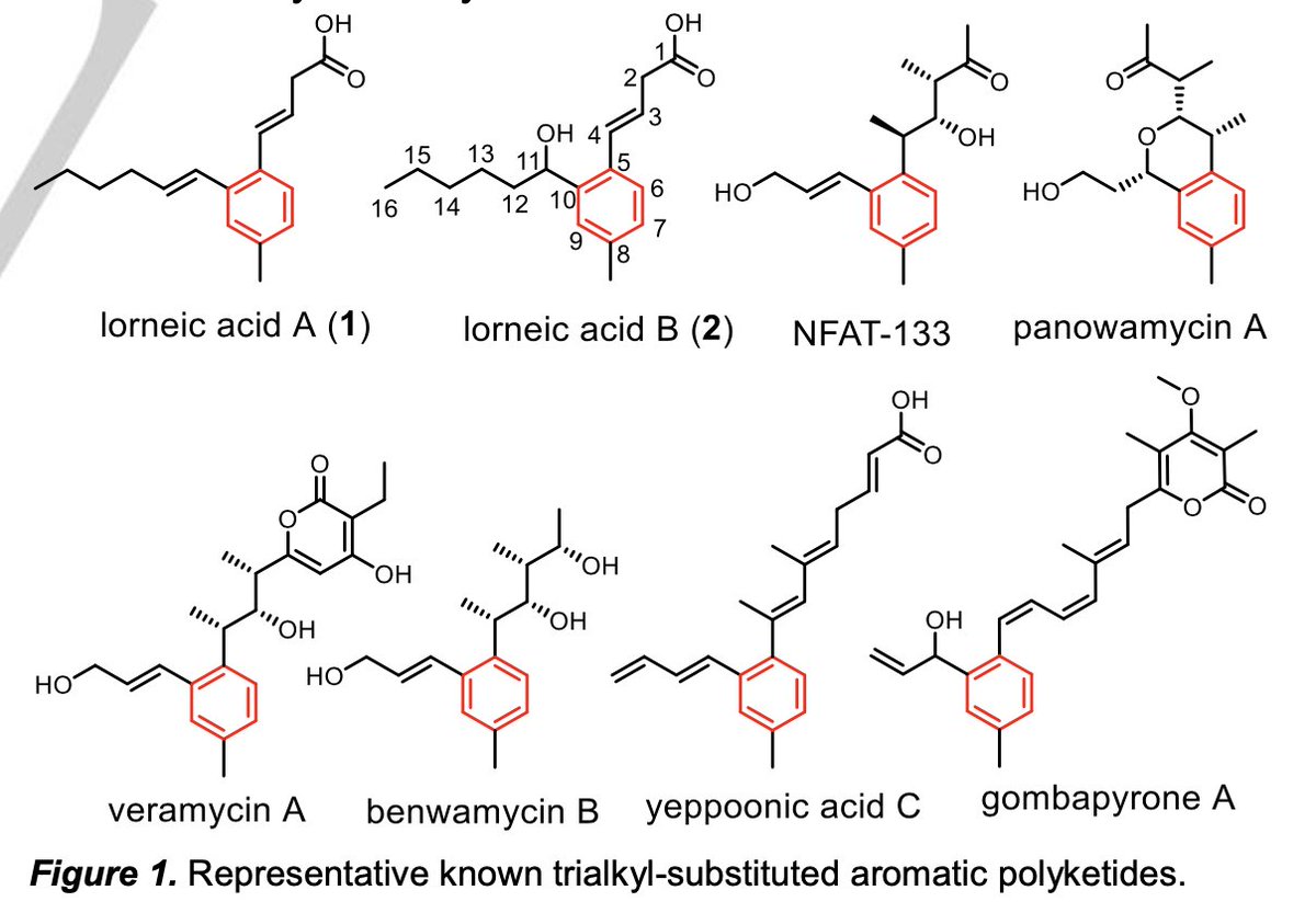 EnzymeChemistry's tweet photo. CYP450 Catalyzes Benzene Ring Formation in the #Biosynthesis of Trialkyl-Substituted Aromatic #Polyketides by Y M Yang, E J Zhao, W Wei, Z F Xu, J Shi, X Wu, B Zhang, Y Igarashi, R H Jiao, Y Liang, R X Tan, and @huiming_nanjing in @angew_chem https://t.co/gCc8xE62A1 https://t.co/DstExuQPMZ