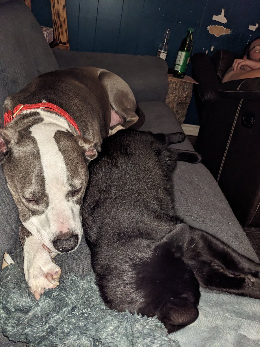 KMS_NL's tweet photo. @WhismanSucks Lou and Rio are besties ❤️❤️ https://t.co/SFL47m7TK4