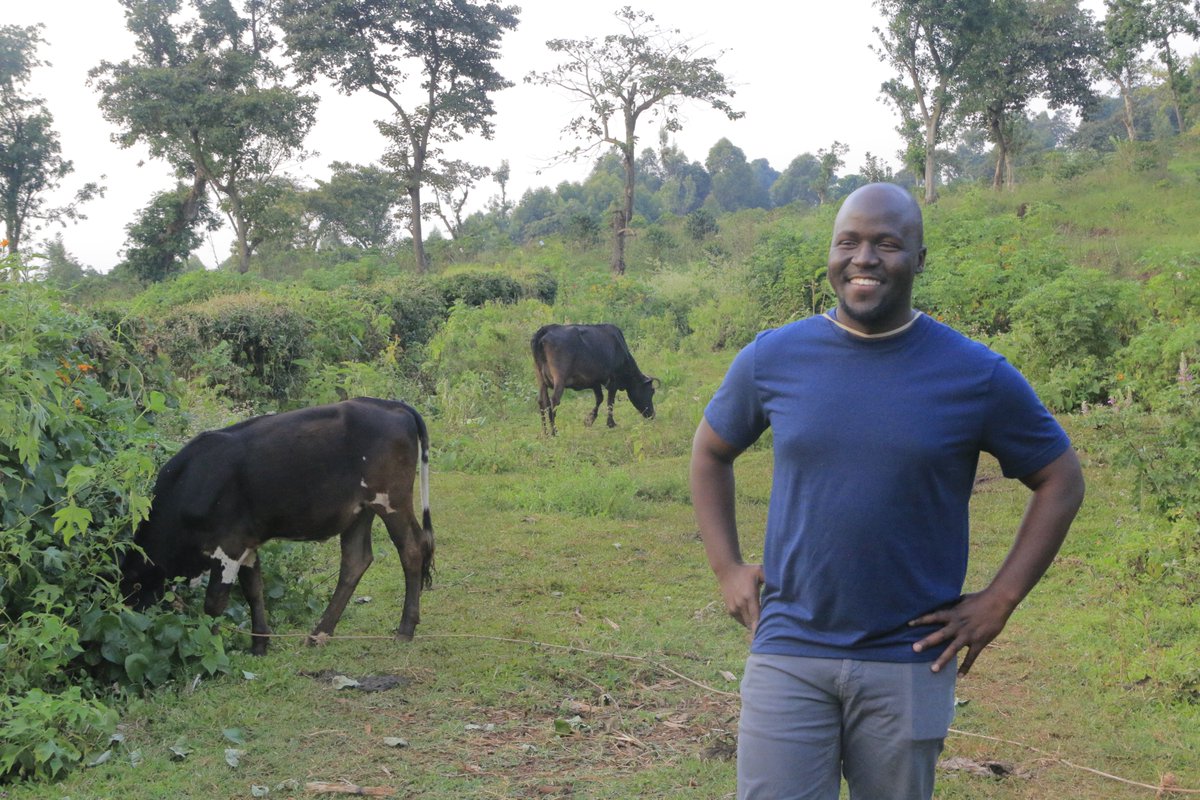 This evening, we have paid a visit to a young agriprenuer <a href="/JSeiko22/">Seiko Junior</a> of #SeikoKasukuEstateFarm in #Kapchorwa. Juma's farm seats on over 50 acres of land. Mapping and restructuring <a href="/yofchan/">Young Farmers Champions Network - YOFCHAN</a> champion model in #Elgon subregion. #ChampioningYouthInAgriculture.