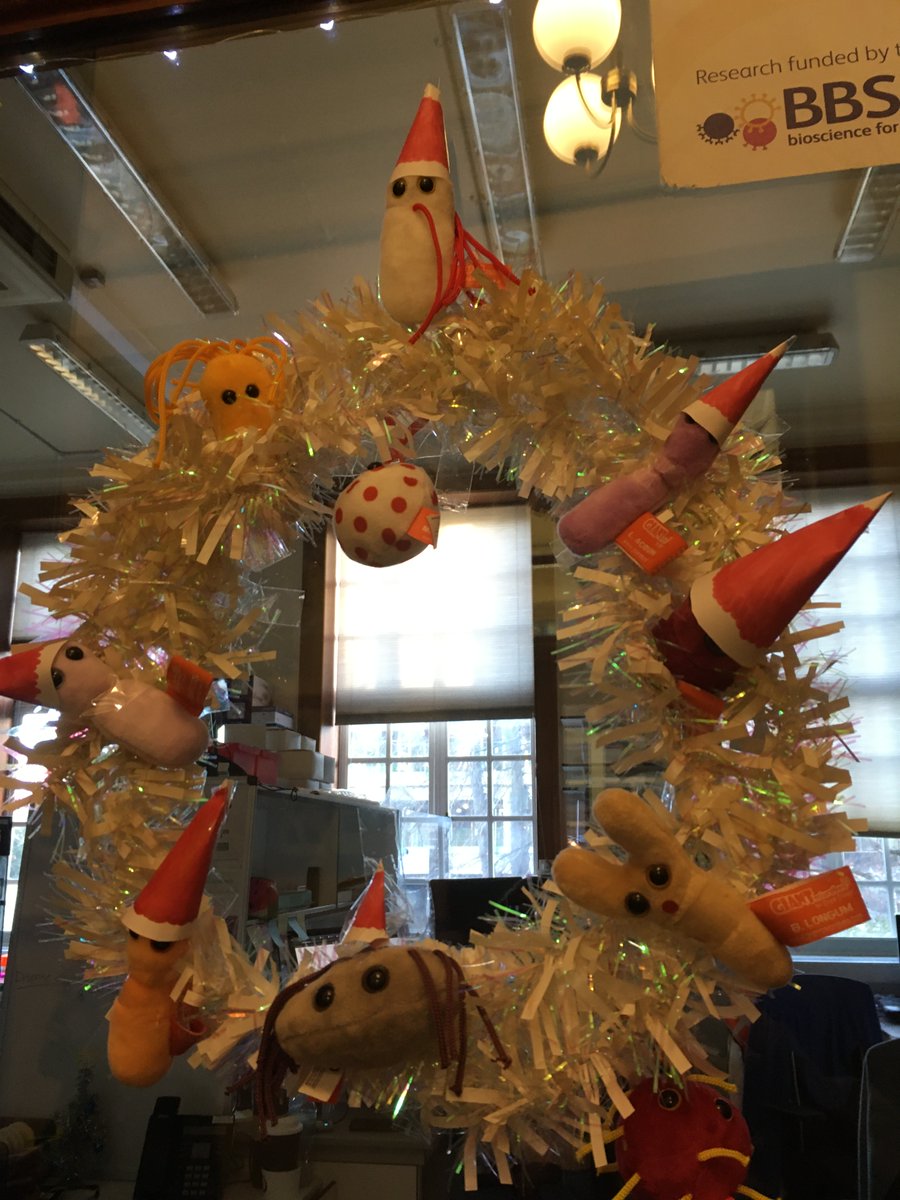 Dunn_School (now @DunnSchool.bsky.social) tweet media