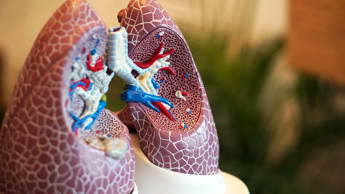 machealth tweet media