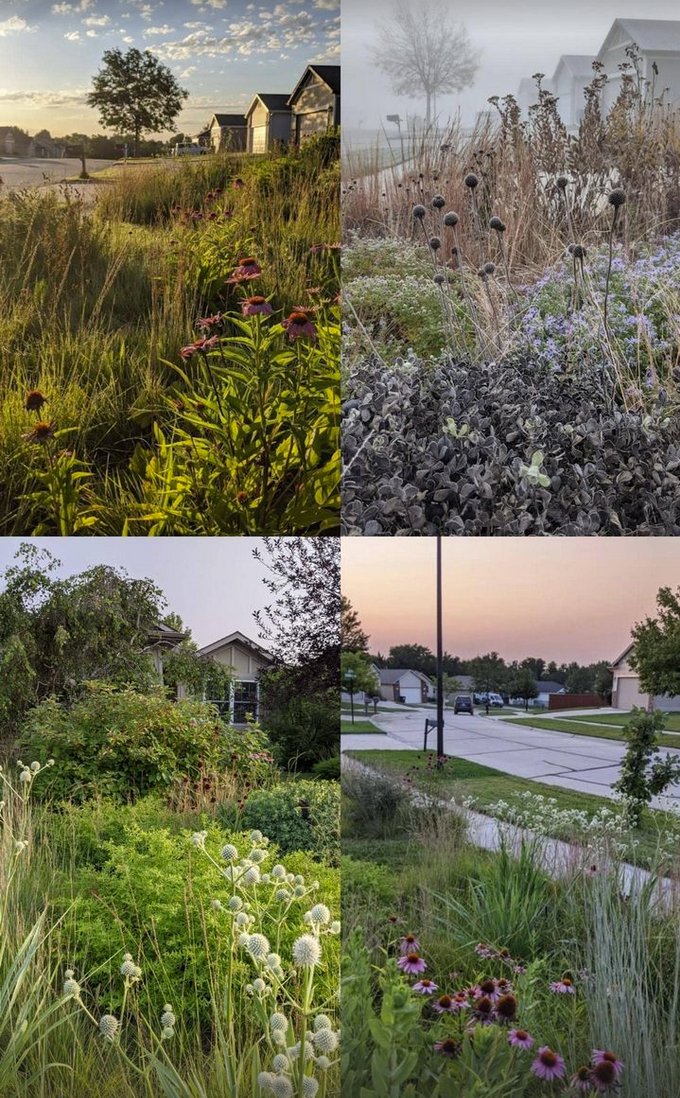 Reprairie suburbia! monarchgard.com