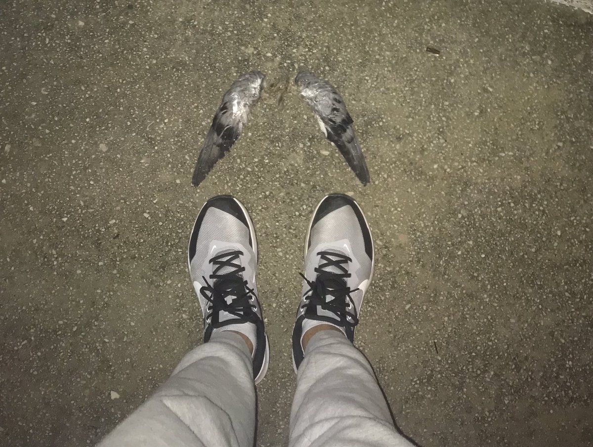 Kanadımı kırdılar uçamadım anne