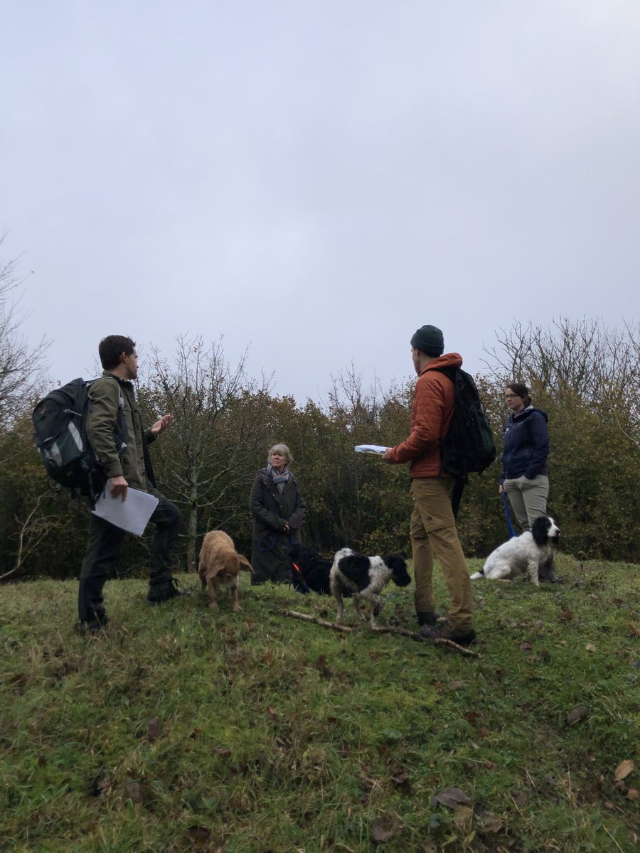 VolComArch's tweet photo. .@HistoricEngland have commissioned @MSDSMarine to undertake a review to help inform the strategic approach towards engaging with apprenticeships &amp; opportunities for skills delivery programmes. Here's your opportunity to provide feedback on the apprenticeship system in England. https://t.co/kFuTyUwmA8