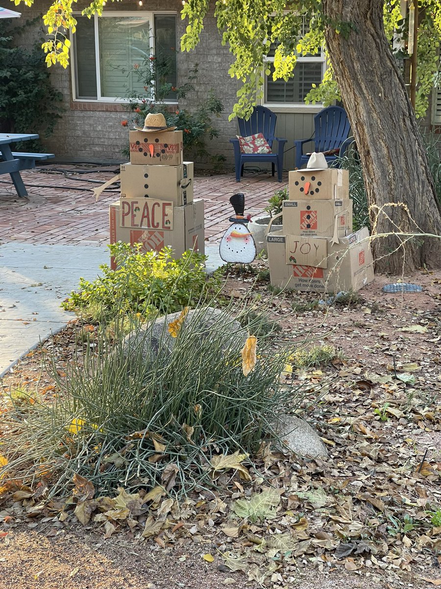 On our morning walk we passed boxmen.  Arizona’s solution to snowmen, I guess. Happy holidays. 🌵☃️⛄️🌵