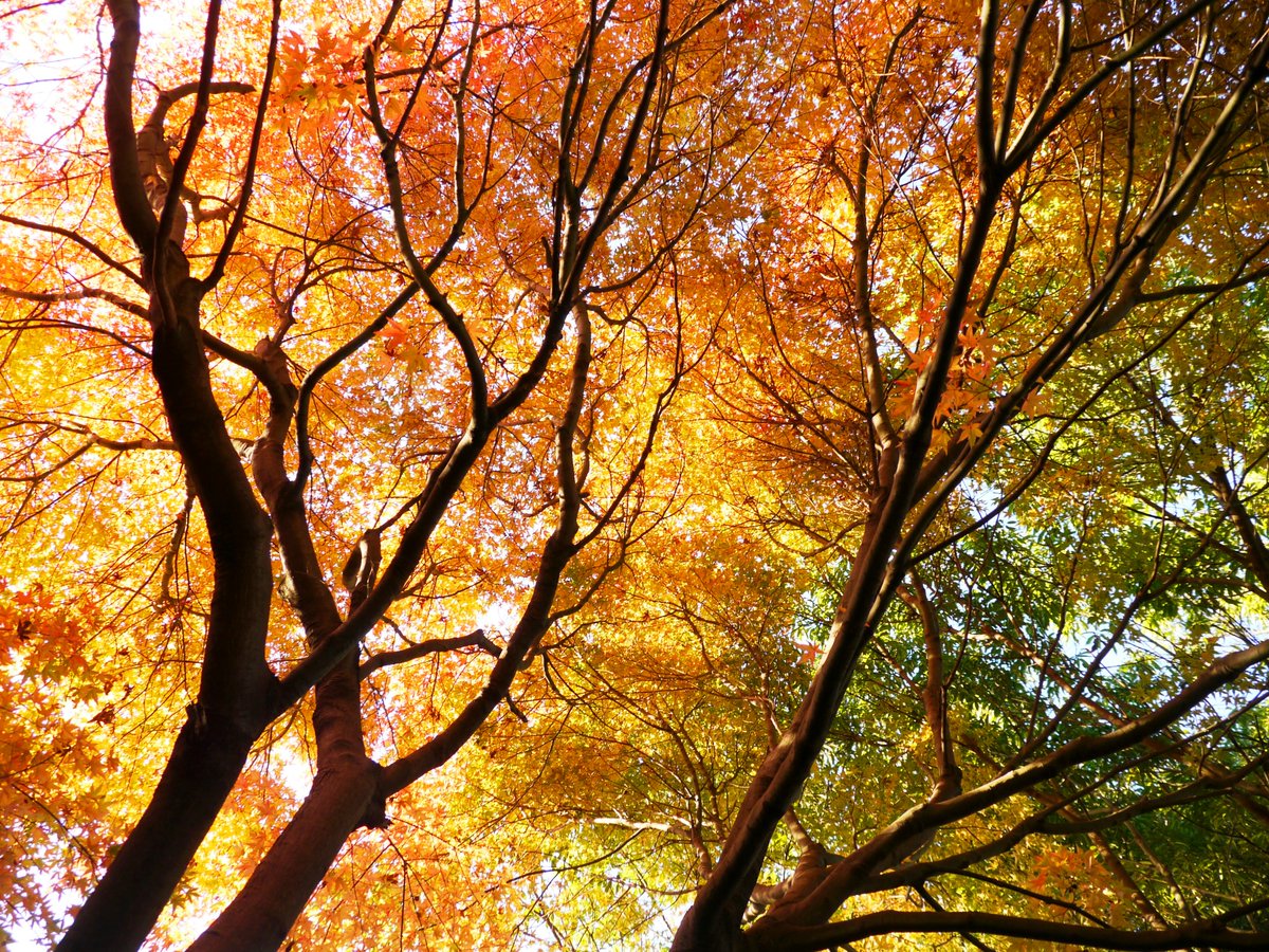 「#絵を描く人が撮った写真が見たいモーメントが死んでしまったので今後描きそうなもの」|明石海峡（風景画・天文イラスト）のイラスト