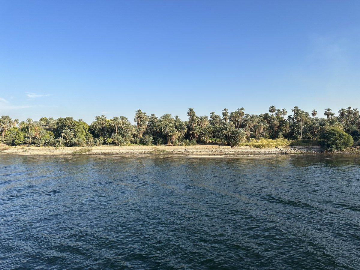 soysarasurf's tweet photo. Nilo River 🚢 https://t.co/JhV0QREMsC