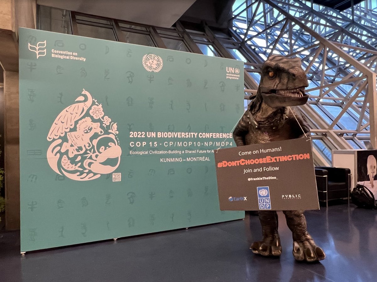 Well done Humans! Representing all species-extinct &amp; not yet extinct-thank U! #COP15 delegates adopted a HISTORIC agreement 2 halt #biodiversity loss. This is what I am talking about! What a huge step towards saving your planet 🌍 &amp; species. 

#DontChooseExtinction
#GBFAAdoption