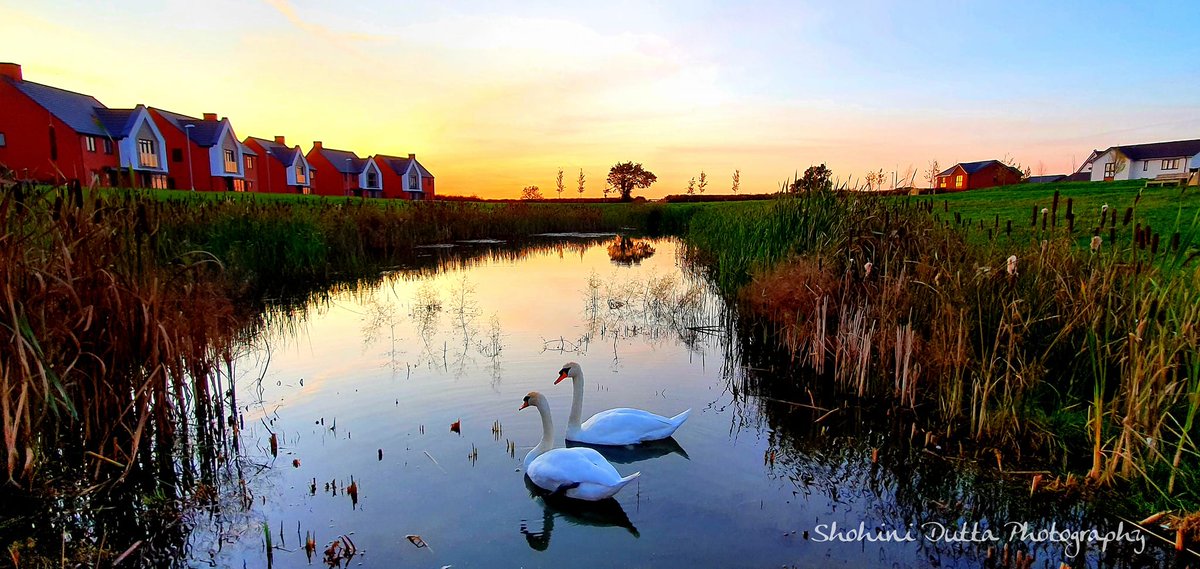 We are proud to share a story from Tadpole Garden Village where our work with the local community gained an award!
Read here:preim.co.uk/news/nurturing…

#community
#engagement
#gardenvillage
#estatemanagement