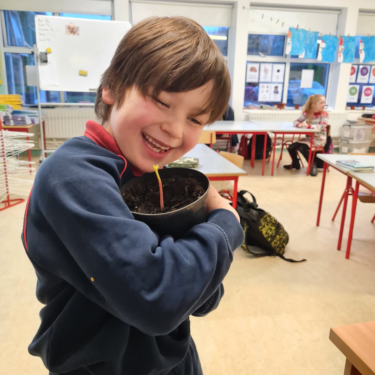 patrick_schools's tweet photo. Simple pleasures in life. One of our 2nd class students with his chestnut tree, which has germinated! Such a happy face 😄 🌰 https://t.co/3ka8Eqnrwh