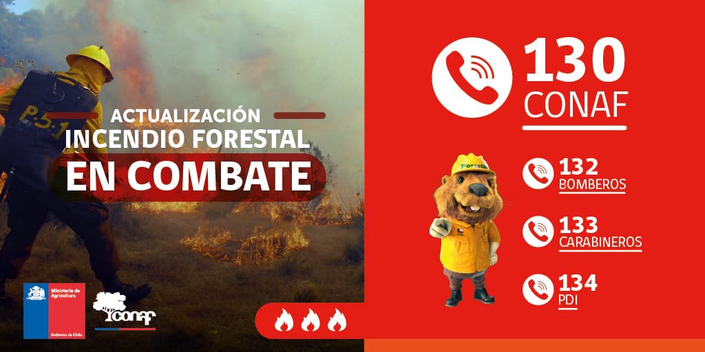 ACTUALIZACIÓN #IFElTapihue, #TilTil, #Metropolitana
Se mantiene activo con intensidad media en uno de sus sectores.
Superficie preliminar➡️480 hectáreas.

🟡#AlertaAmarilla
Recursos➡️8 técnicos, 1 brigada, 3 aviones cisterna #CONAF y <a href="/BomberosdeChile/">Bomberos de Chile</a>.