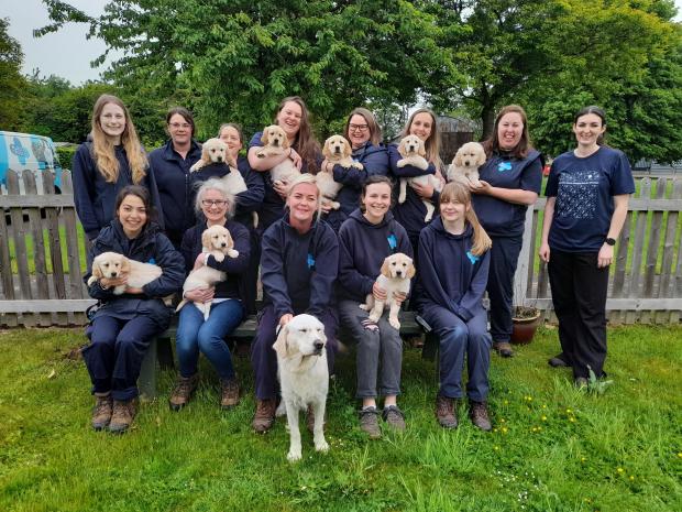 Merry Christmas from all of us at @the_blue_cross! 🎄 It's been a challenging year, but the team have never let that deter them from doing what they can to help pets and their owners.