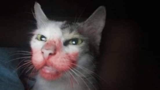 CycloneDelivery's tweet image. to : @spaceaccent 
from : @bagsy_her_room
      - “&amp;lt;33333” ☆