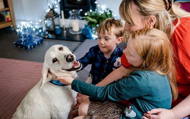 Before Amber was bought to @the_blue_cross, she was abandoned, suffering with mange and heavily pregnant. It brings me such joy to see her and her puppies healthy and rehomed. This is exactly the kind of difference supporting Blue Cross can make: bluecross.org.uk/support