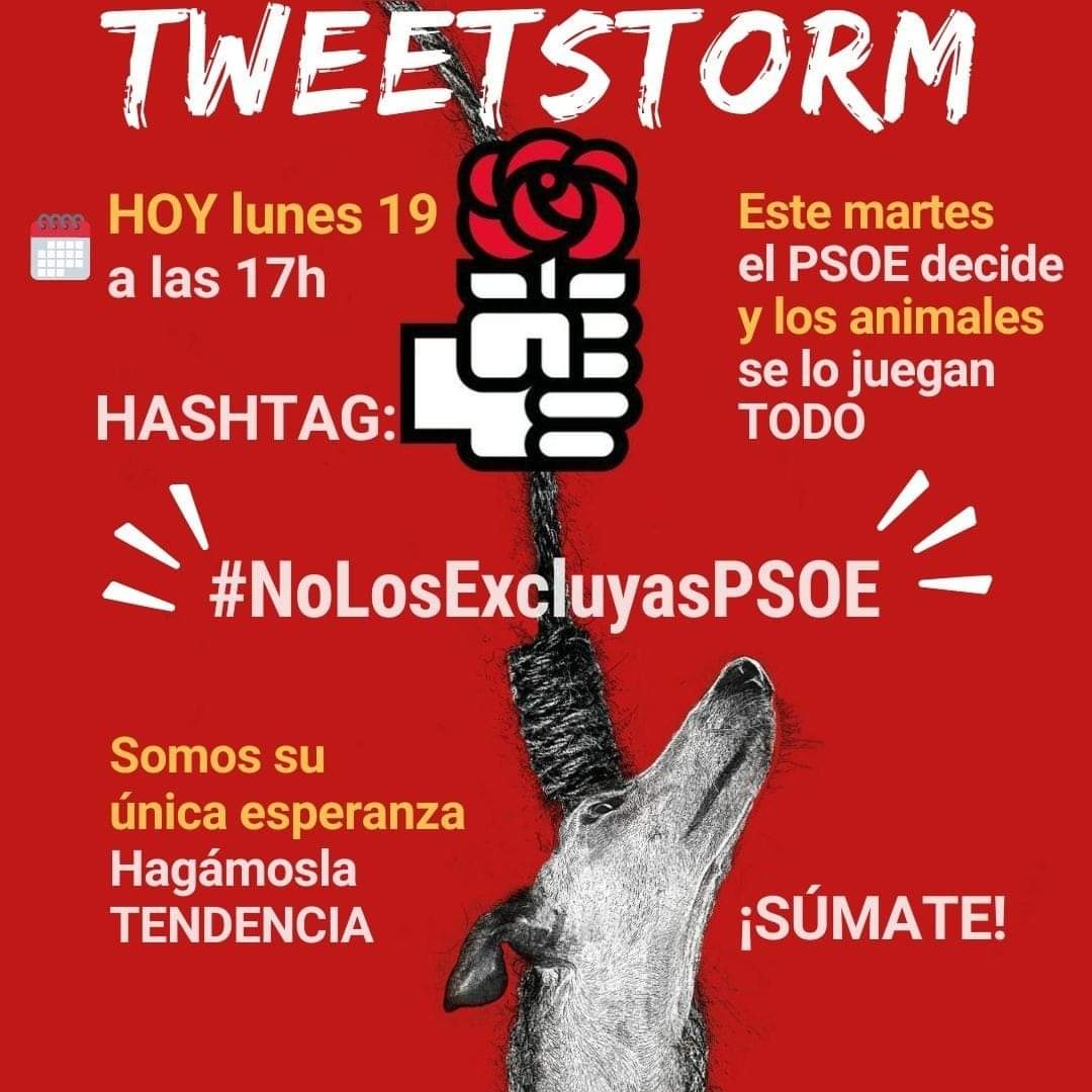 doradodan's tweet photo. 🔥#NoLosExcluyasPSOE🔥

😡El @PSOE quiere que la Ley de protección, derechos y bienestar de los animales, en contra de lo aprobado por el Consejo de Ministros, excluya a los animales utilizados para cazar y otras actividades.

¡Participa! 🗣️Sé su voz.

 @sanchezcastejon 

 ¡RT! https://t.co/L0mOrTcuRx