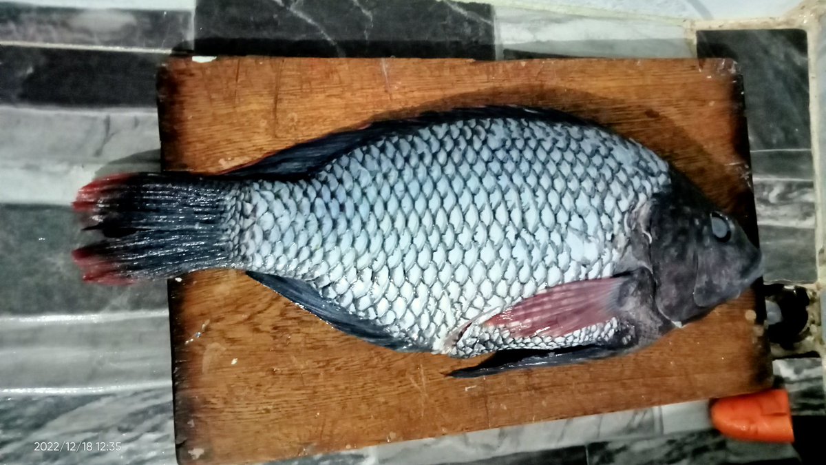 BegemonTh's tweet image. He aquí un historia en fotos... Me quedo bien rico apesar de ser la primera vez que cocino y encima quedó rico.