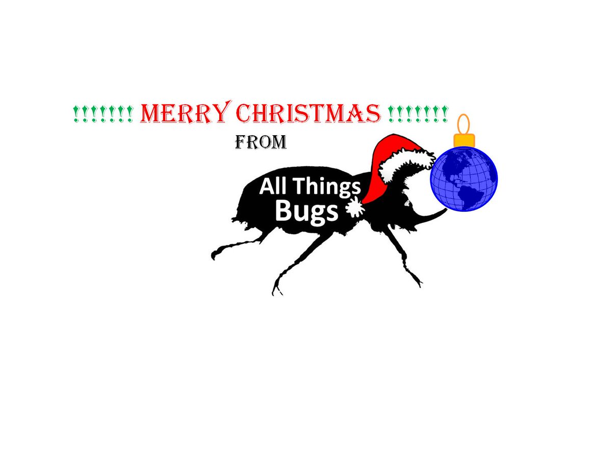 AllThingsBugs's tweet image. Happy Holidays from @Allthingsbugs ❤ Wishing you holiday season and 2023 blessings! ❤ Check out allthingsbugs.com
#Christmas #happyholidays #happyhanukkah #climatechange #water #sustainability #biodiversity #nature #science #inspiration #MondayMotivation #mondaythoughts
