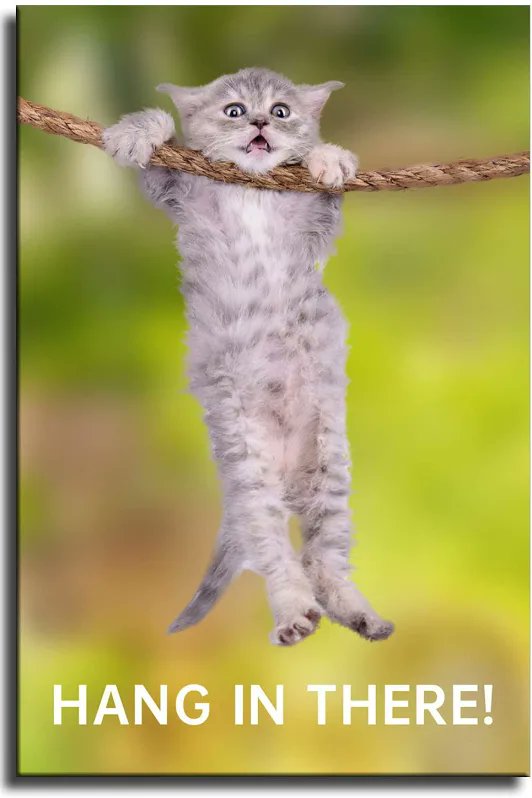 Allen High School Commentary tweet media