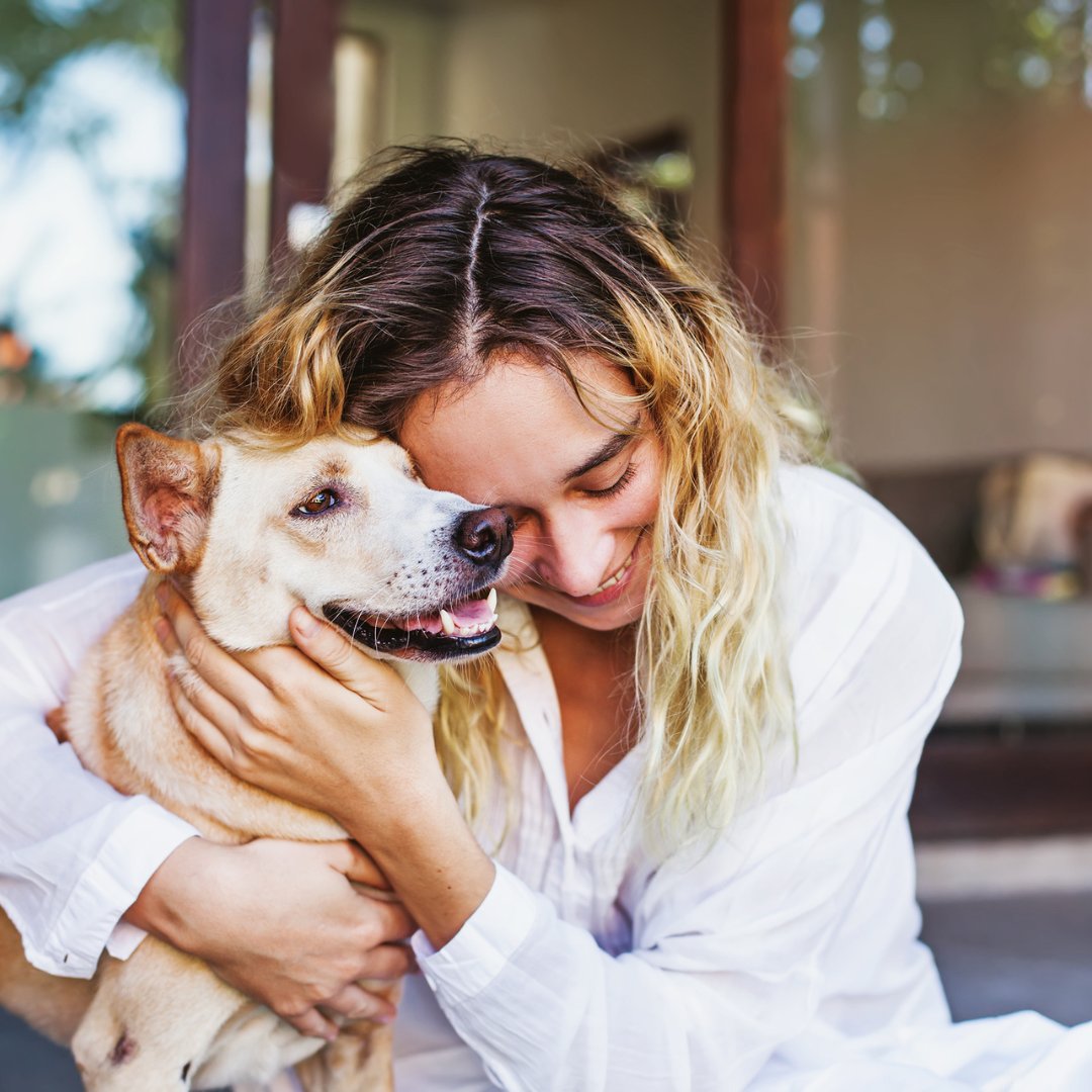 #DidYouKnow @the_Blue_Cross run Britain’s largest animal bereavement service? The helpline has helped 27,000 pet owners this year alone - this is 20,000 more than in 2021. We're enlisting 100 volunteers to keep this vital service going all year round.