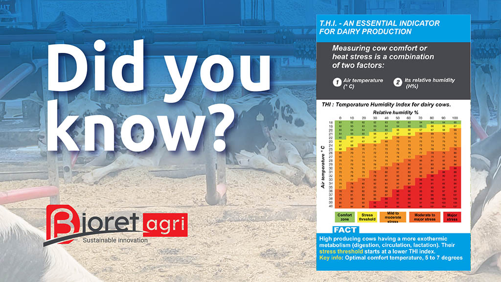 Bioret_Agri's tweet photo. Did you know multiple factors affect the cow’s health and production? It is essential to keep track of these factors and prioritize cow comfort. Our mattresses and waterbeds are designed keeping in mind all these factors. #cowcomfort #dairycows #aglife#Bioret#dairyfarm#farmlife https://t.co/WWmL8qNq19