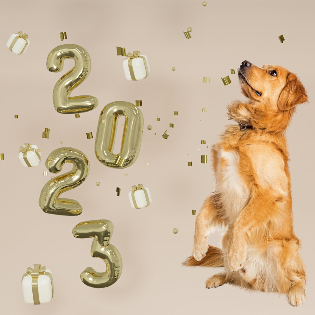 As we leave 2022, I can't help but wonder what what's next for @the_blue_cross in 2023! 🎇

One thing is for sure – we’ll be here to continue supporting pets and their owners who need our help.