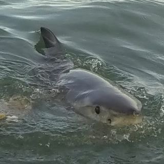 CycloneDelivery's tweet image. to : @uranium_suite
from : 
      - “hello Nico :DD you are so cool. ( also you make me laugh pretty frequently ) so thank you :)” ☆