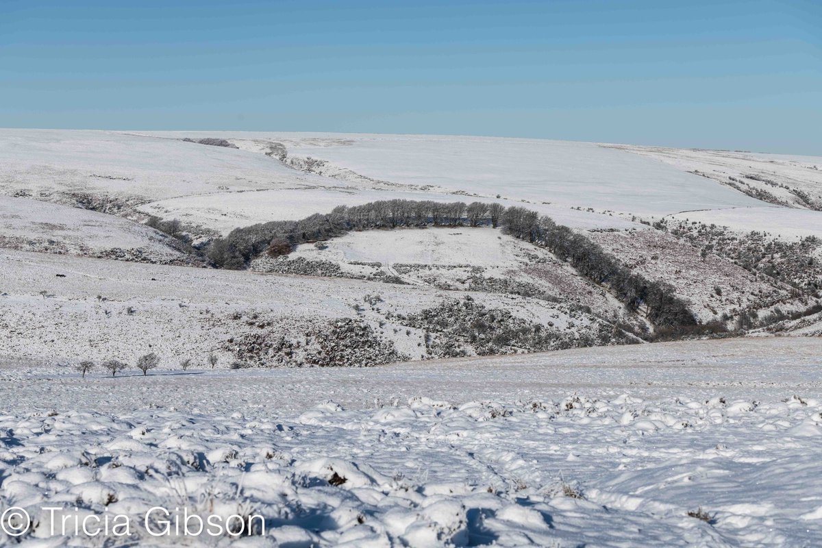 exmoormare's tweet photo. A few from last week’s snow and ice on #dunkery the ice crystals were amazing, wrong lens with me! Apologies for lines in sky, reducing file size does this 😬@ExmoorNP https://t.co/02hujafdDs