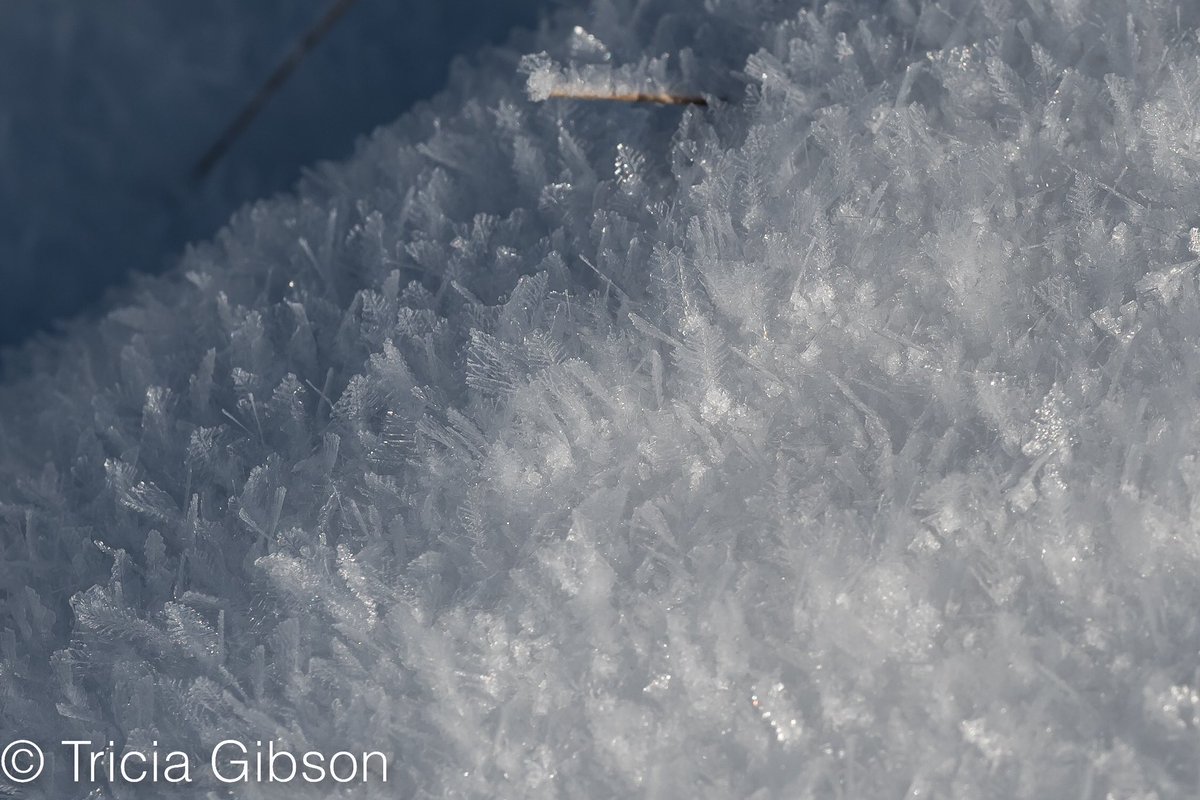 exmoormare's tweet photo. A few from last week’s snow and ice on #dunkery the ice crystals were amazing, wrong lens with me! Apologies for lines in sky, reducing file size does this 😬@ExmoorNP https://t.co/02hujafdDs