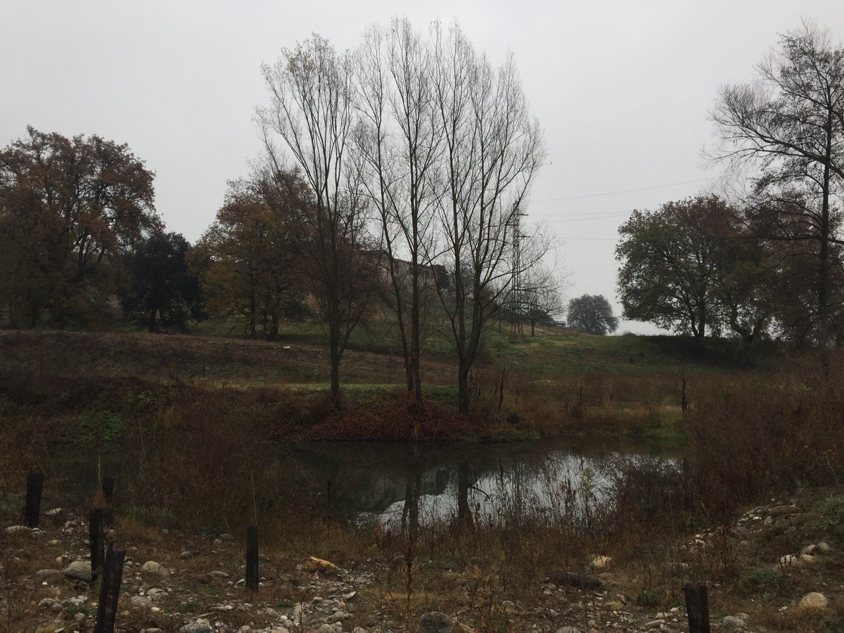 #LifeAlnus 🌳💧🌳
Més de vuitanta persones van participar en les jornades de tancament del projecte <a href="/LifeAlnus/">Life+ Alnus</a>, que van incloure debats sobre la #conservació dels #boscos de #ribera i la visita a les actuacions de recuperació fetes al riu Ter
Més info➡️bit.ly/3Yx9lln