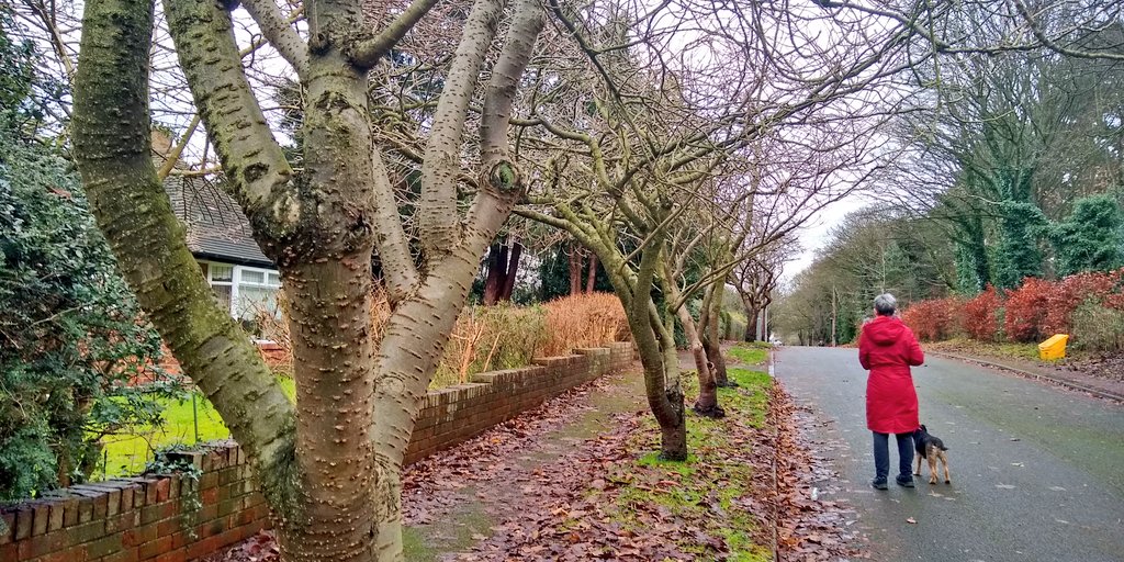WaltonBob's tweet photo. Today's walk to see the sea was via High Mill &amp; Scholes Park. Sad to see the Ivanhoe Pub/Hotel closed, but the Old Scalby Mill Inn open. https://t.co/tpTmjSZJL3