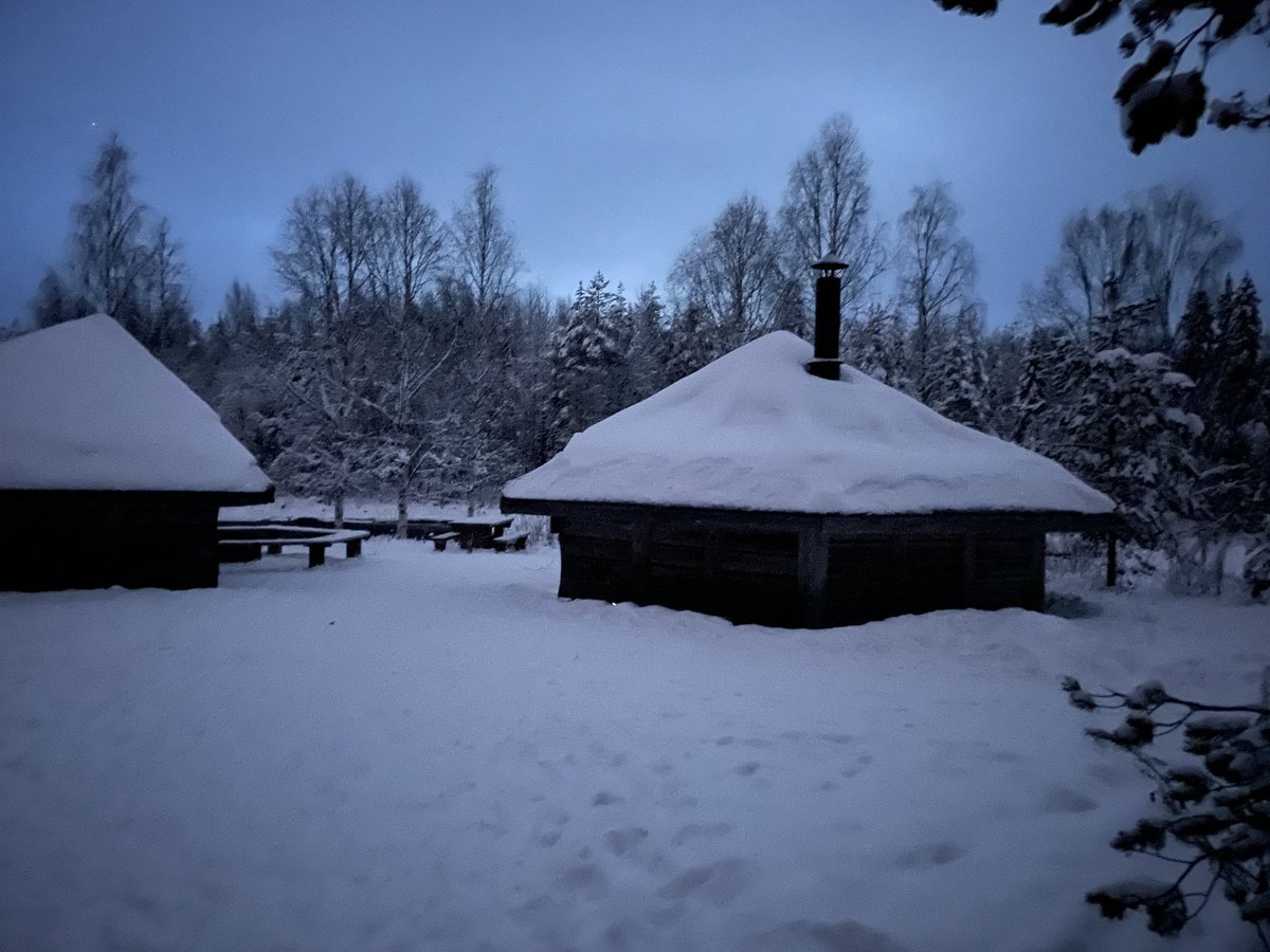 Caro G-M tweet media