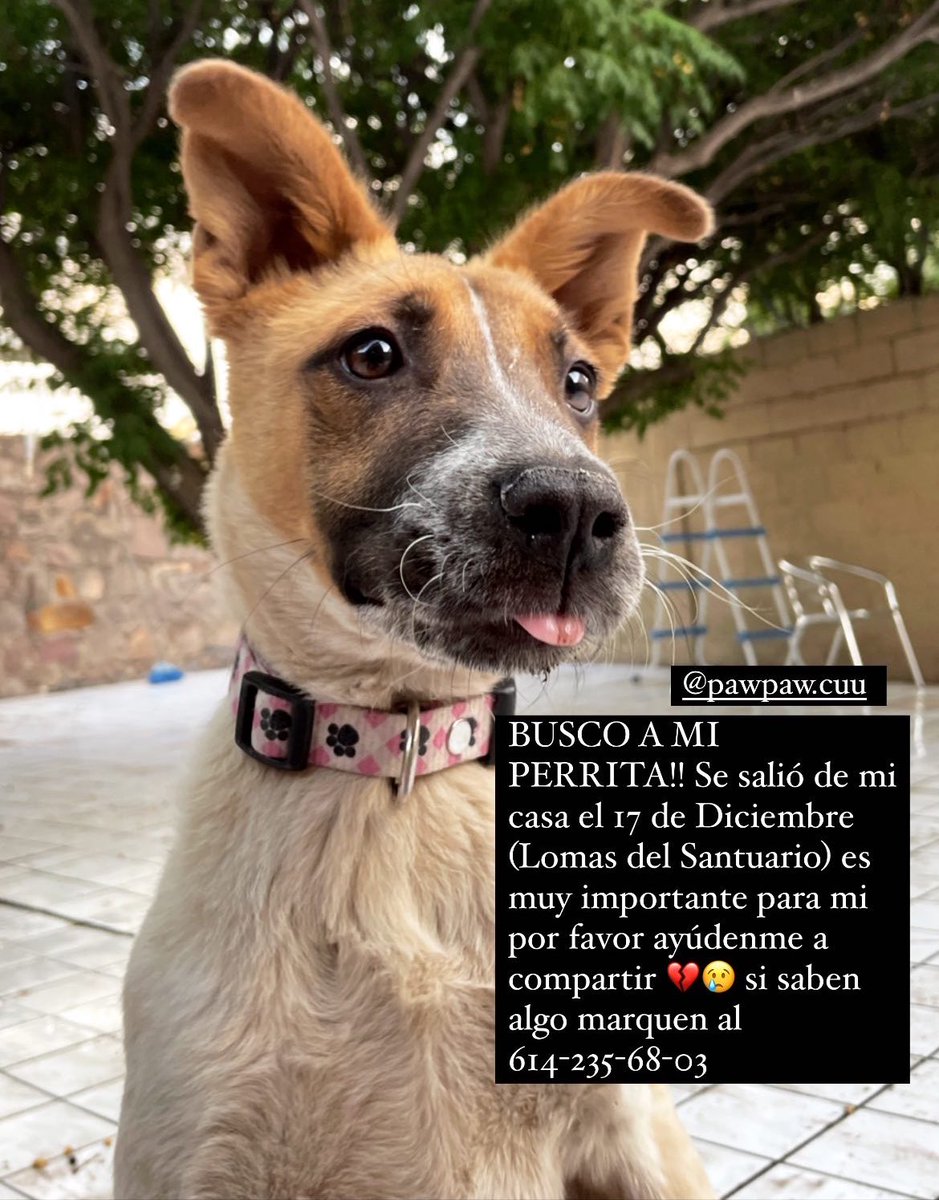 Denle rt 🥺