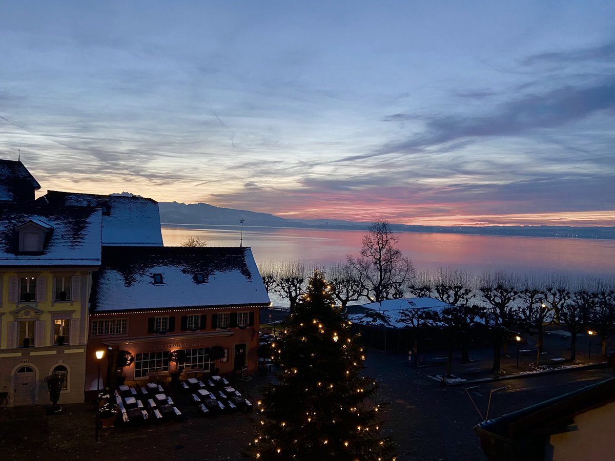 Anne Amlot tweet media