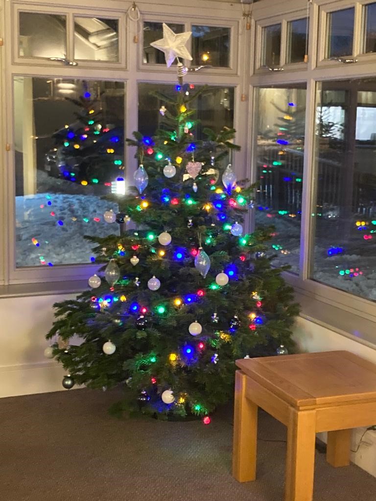 DevHouseDental's tweet photo. It's beginning to look like Christmas inside and out at our main practice at Queen Edith's Way. The snowy backdrop makes the lights sparkle even more! #christmas2022 #ChristmasTree #ChristmasMagic https://t.co/Srdn5hubj4
