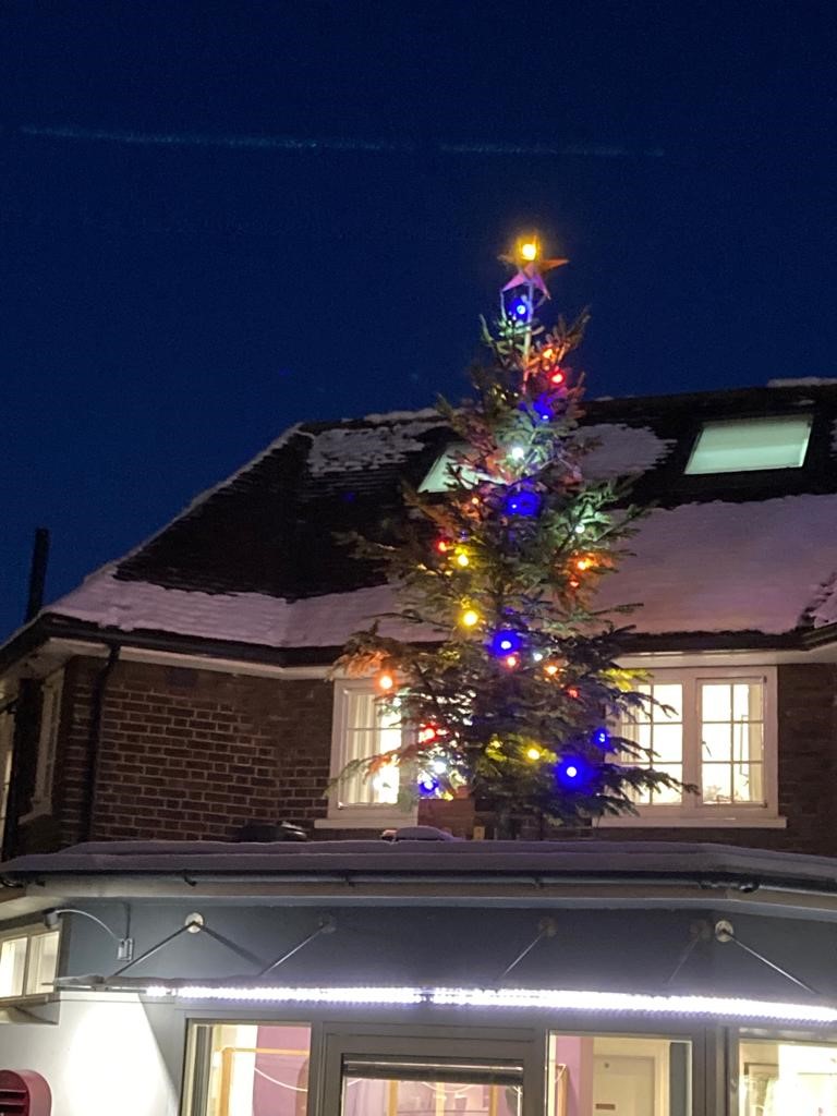 DevHouseDental's tweet photo. It's beginning to look like Christmas inside and out at our main practice at Queen Edith's Way. The snowy backdrop makes the lights sparkle even more! #christmas2022 #ChristmasTree #ChristmasMagic https://t.co/Srdn5hubj4