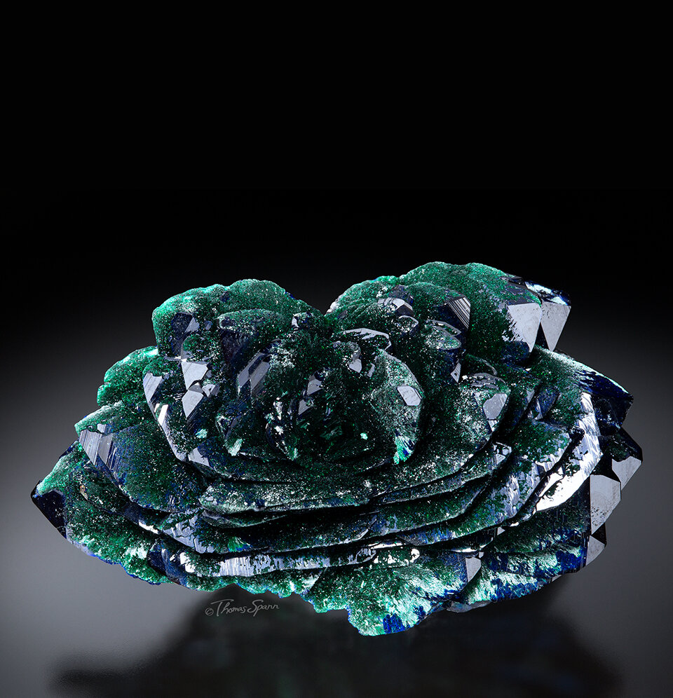 GeologyTime's tweet photo. Stunning Azurite and Malachite flower!

Location: Mexico

Credits: The Focal Crystal

#minerals https://t.co/7Yx5dj6MX9
