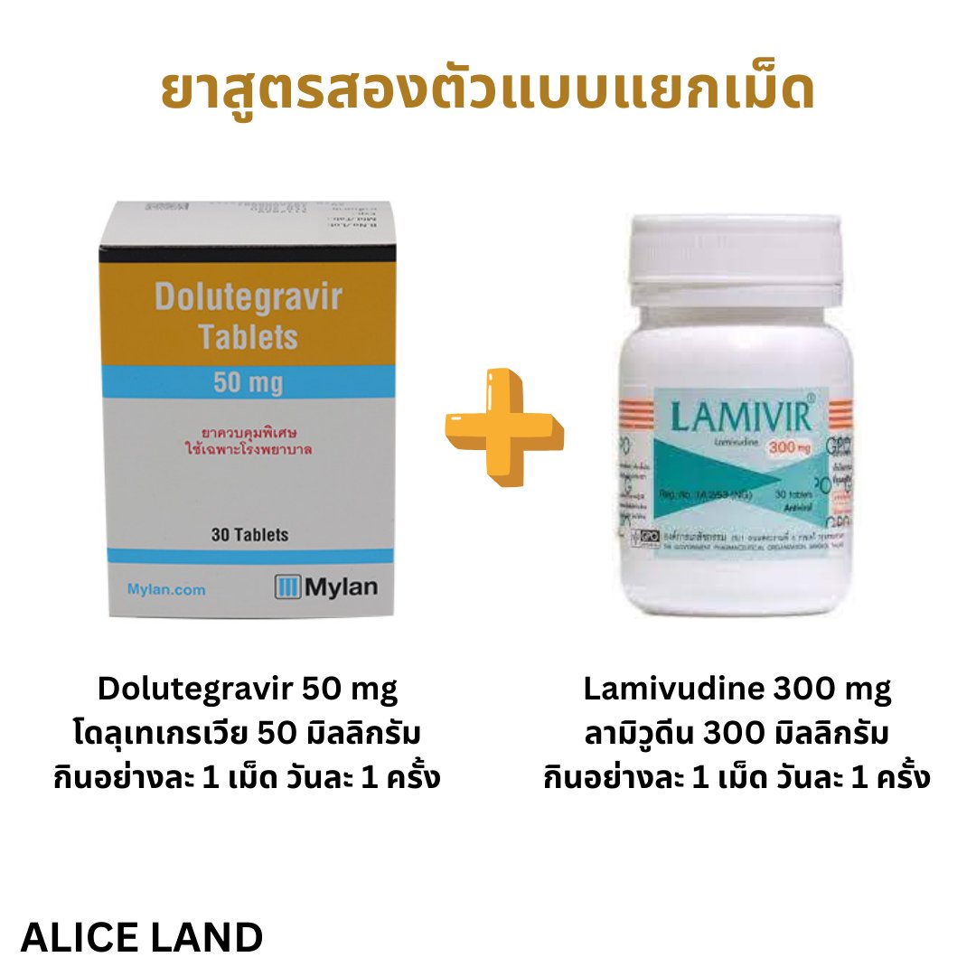 Alice_Land tweet media