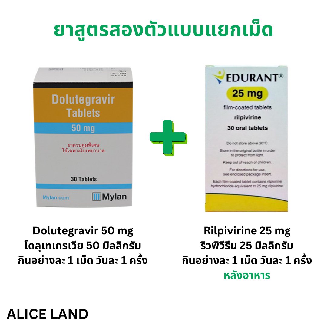 Alice_Land tweet media