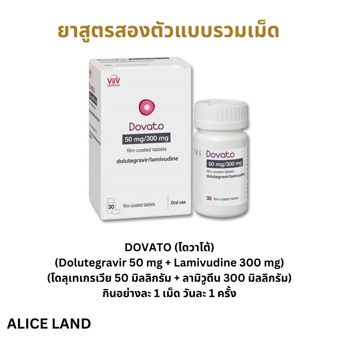 Alice_Land tweet media
