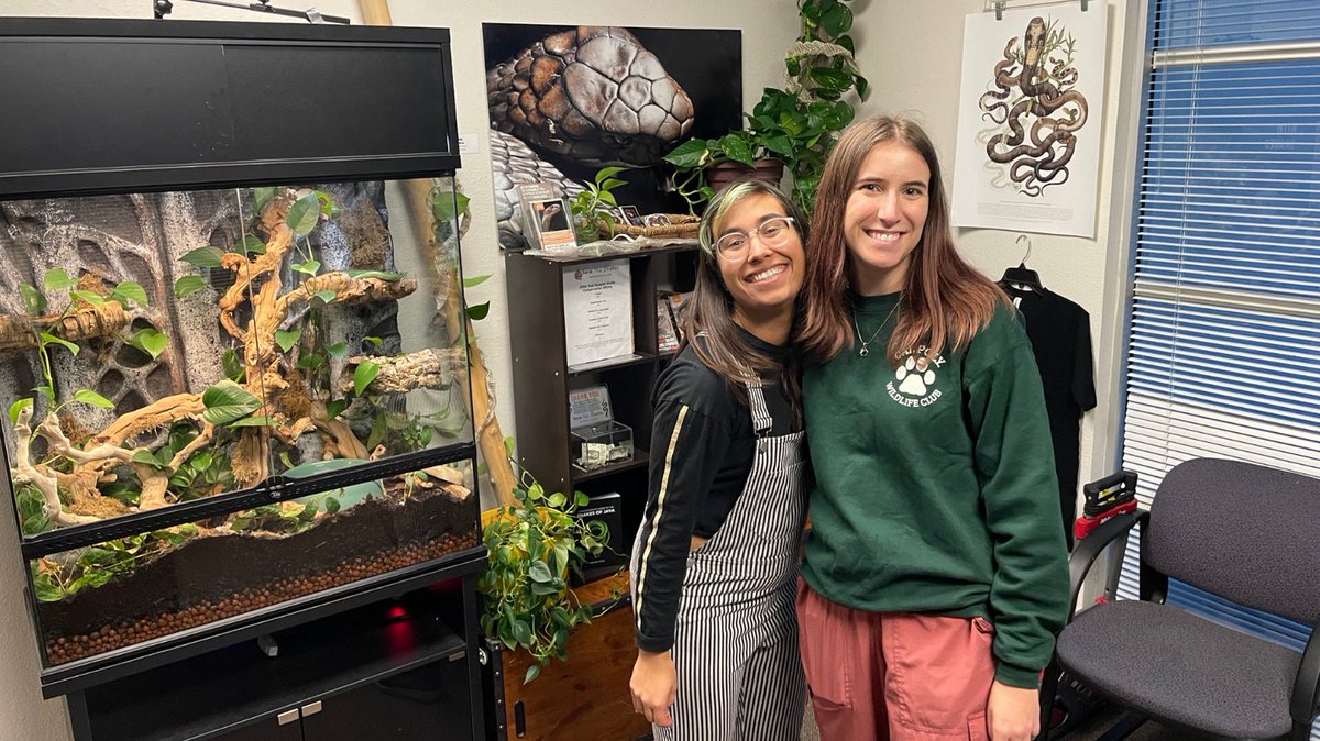 savethesnakes's tweet photo. Yesterday Save The Snakes hosted a Volunteer Day at our Snake Conservation Center in Sacramento, CA! Our awesome volunteers built enrichment items for our ambassador snakes, created materials for our 2023 educational programs & much more. We are so grateful to have their support! https://t.co/ImNpRZrV7M