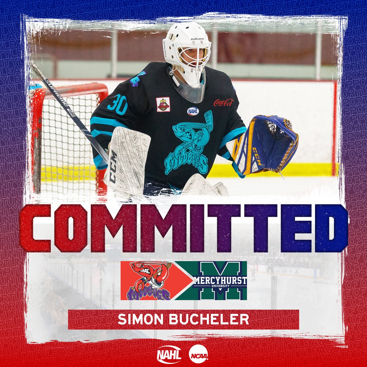 NAHL tweet media