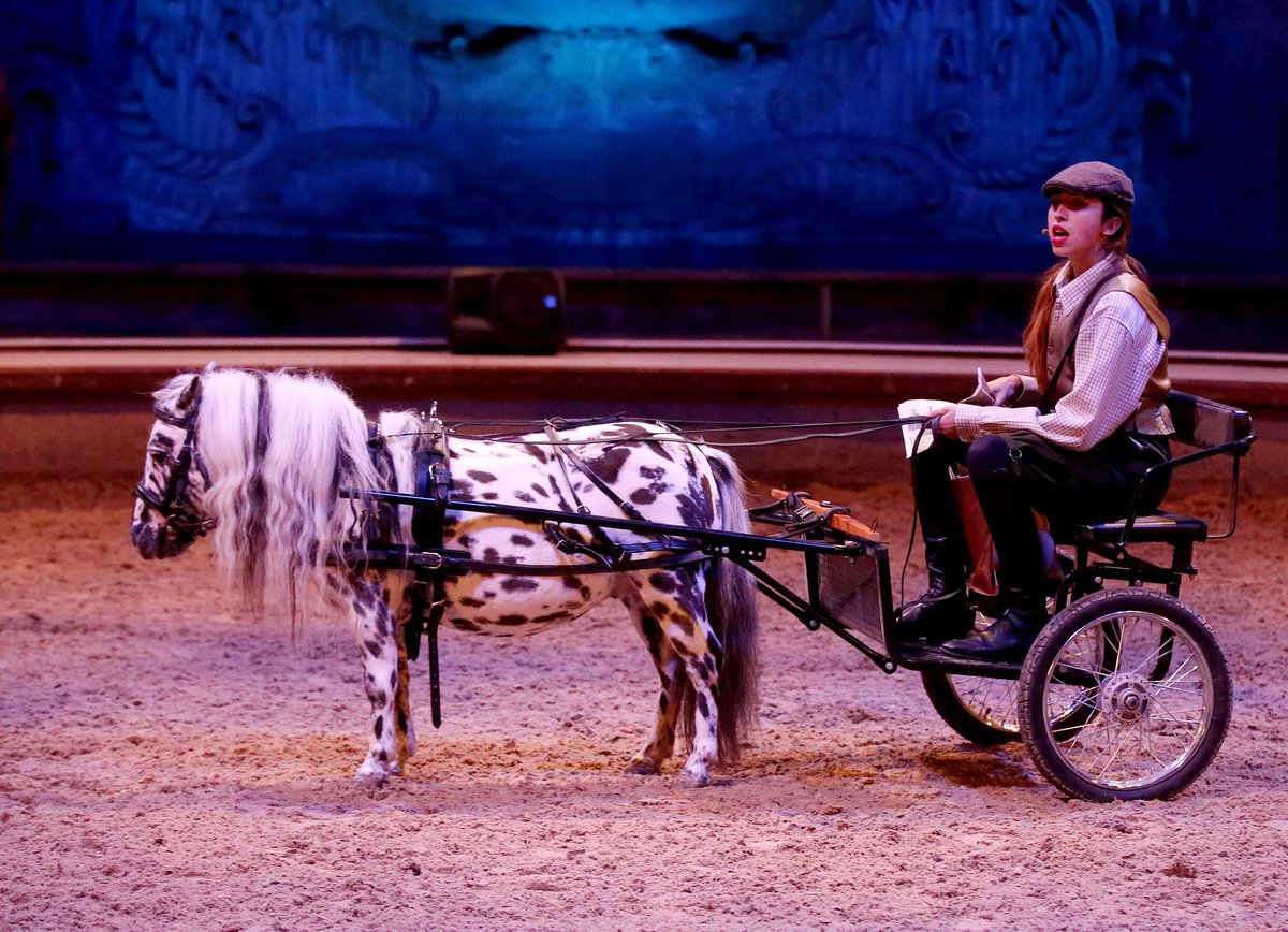 CdeChantilly's tweet photo. #Idéecadeau 🎁 #dernièreminute #Noël
Pourquoi ne pas offrir un moment magique à partager en famille avec des billets pour le spectacle de Noël "Le Miroir de Bérylune" ?
👉 https://t.co/BGcFDdkiTf

#lemiroirdeberylune #spectacle #spectacleequestre #spectaclevivant #spectacledenoel https://t.co/jd1T71I9zt