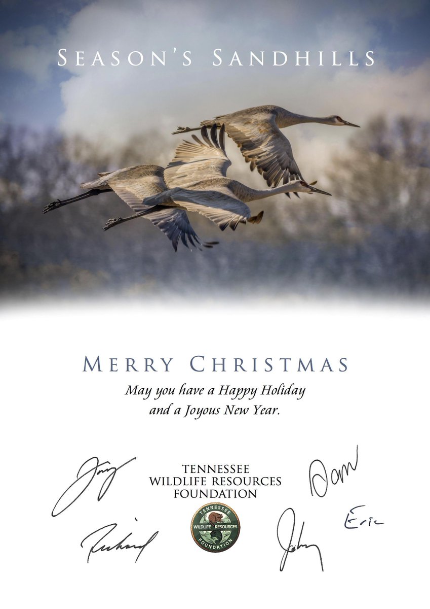 Happy Holidays from TWRF bit.ly/3YCA9Rp