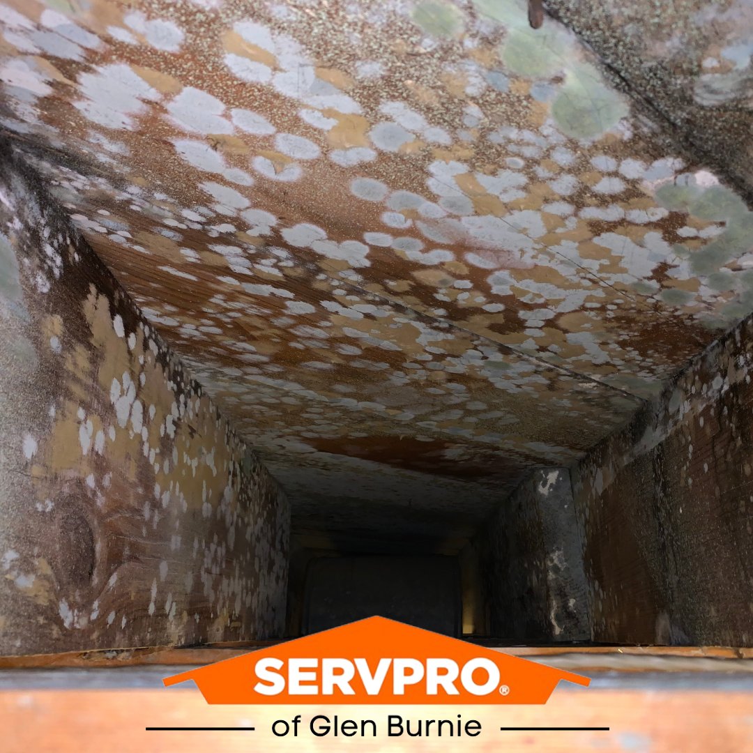The presence of visible mold can be a scary sight for home or business owners. Luckily, there's a PRO for that!