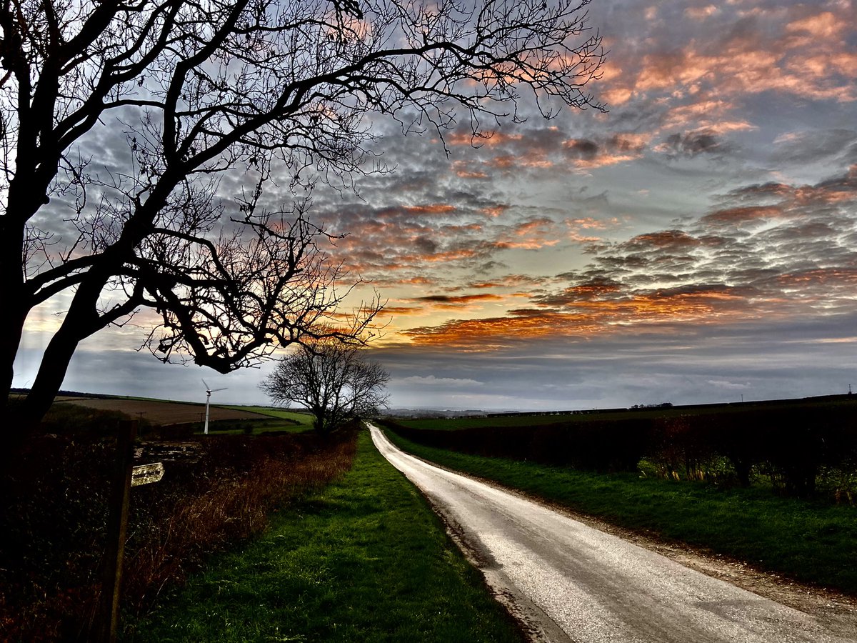 WeatherWolds's tweet photo. Late colour after a grey day. 12°C mild and gusty. Starlings. https://t.co/TBnmzFmaNp